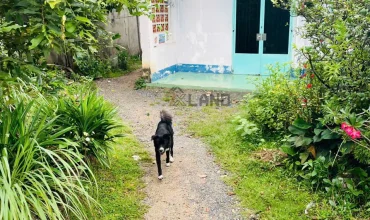 <54BT>: BÁN NHÀ CẤP 4 – GẦN ĐƯỜNG ĐẶNG VĂN BI- P. BÌNH THỌ – 270M2 – NỞ HẬU 11M – OTO RA VÀO THOẢI MÁI