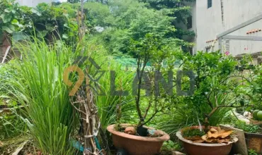 <247LTR>: BÁN LÔ ĐẤT HẺM XE HƠI – ĐƯỜNG 8 – P. LINH TRUNG – 61.7M2