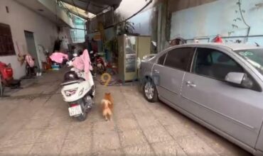 <1305LX>: LÔ ĐẤT – ĐƯỜNG SỐ 5 – P. LINH XUÂN – 121.9M2