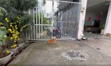 <1305LX>: LÔ ĐẤT – ĐƯỜNG SỐ 5 – P. LINH XUÂN – 121.9M2