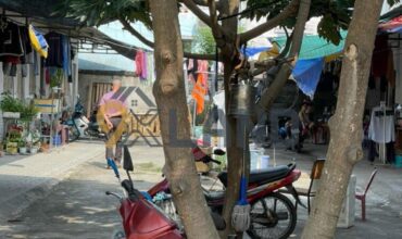 <180LX>: NHÀ TRỌ 12 PHÒNG HẺM – ĐƯỜNG 8 – P. LINH XUÂN – ĐANG CHO THUÊ 30TR/TH – 470.6M2