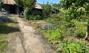 <3027TP>: ĐẤT VƯỜN ÍT THỔ HẺM XE HƠI ĐƯỜNG CÂY KEO – P. TAM PHÚ – 6524M2
