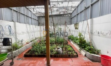 <259TP>: GIÁ TỐT NHẤT DỰ ÁN THĂNG LONG HOME – NHÀ 3 TẦNG – 131.9M2
