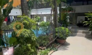 <1076PB>: 🏡 QUỸ ĐẤT LỚN HIẾM – PHÙ HỢP Ở, LÀM VĂN PHÒNG HOẶC ĐẦU TƯ LÂU DÀI – BIỆT THỰ SÂN VƯỜN 351M² GIỮA LÒNG PHƯỚC BÌNH – TP. THỦ ĐỨC
