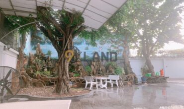 <1TNPB>: HÀNG VIP! BÁN BIỆT THỰ HẺM Ô TÔ – ĐƯỜNG SỐ 8 – P. TĂNG NHƠN PHÚ B – KHU DÂN CƯ SẦM UẤT.