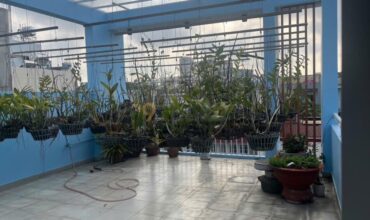 <295PLB>: BÁN NHÀ 1 TRỆT 2 LẦU HẺM Ô TÔ – ĐƯỜNG 339 – P. PHƯỚC LONG B – 84M2