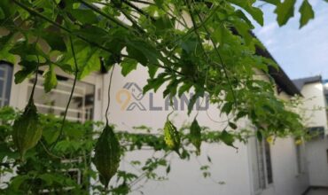 <18LX>: BÁN NHÀ GẦN CẦU VƯỢT LINH XUÂN – NHÀ XÂY KIÊN CỐ – NGANG HƠN 7.6M – 198.6 M2