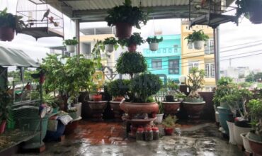 <1016PLB>: BÁN NHÀ MẶT TIỀN – ĐƯỜNG TĂNG NHƠN PHÚ – P. PHƯỚC LONG B – 59.5M2