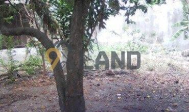 <182PLB>: ĐẤT KHỦNG 515m² – ĐẤT Ở FULL 100% – P. PHƯỚC LONG B